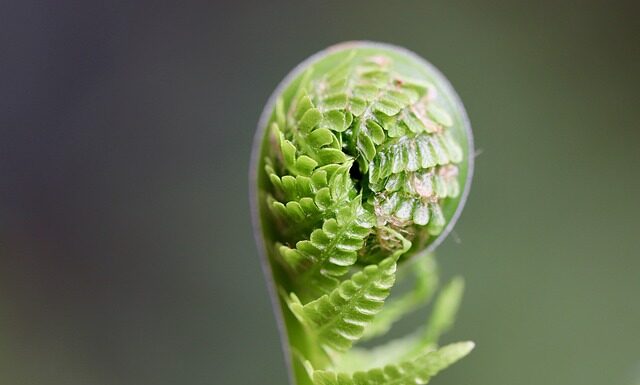 Jaki przedmiot kończy się w 7 klasie?