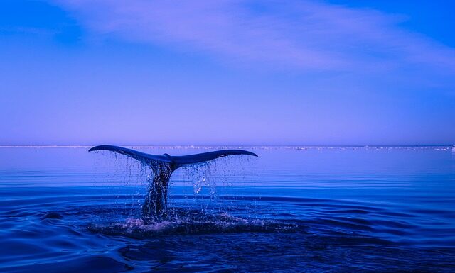 Na czym polega naruszenie ochrony danych osobowych?