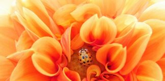 Kiedy projekt inwestycyjny jest efektywny?