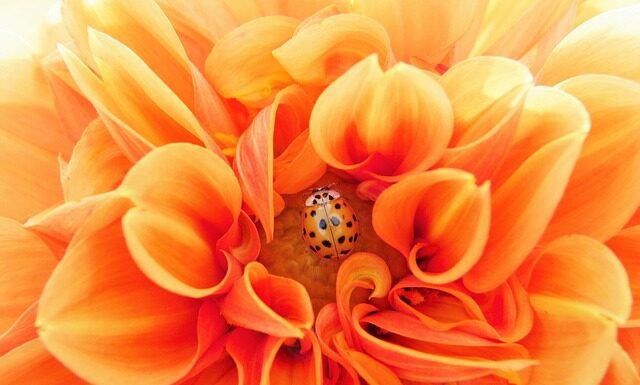 Kiedy projekt inwestycyjny jest efektywny? Kiedy projekt inwestycyjny jest efektywny?