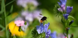 Co oznacza podstawowa znajomość obsługi komputera? Co oznacza podstawowa znajomość obsługi komputera?