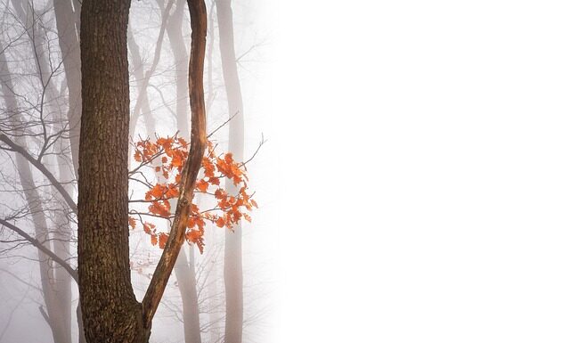 Jak napisać negatywny feedback po rozmowie kwalifikacyjnej? Jak napisać negatywny feedback po rozmowie kwalifikacyjnej?