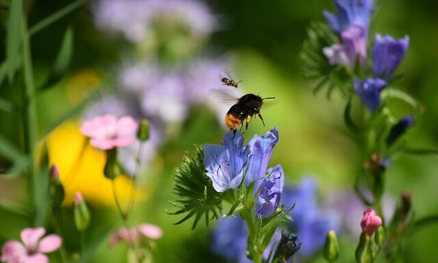 Co oznacza znajomość pakietu Office?
