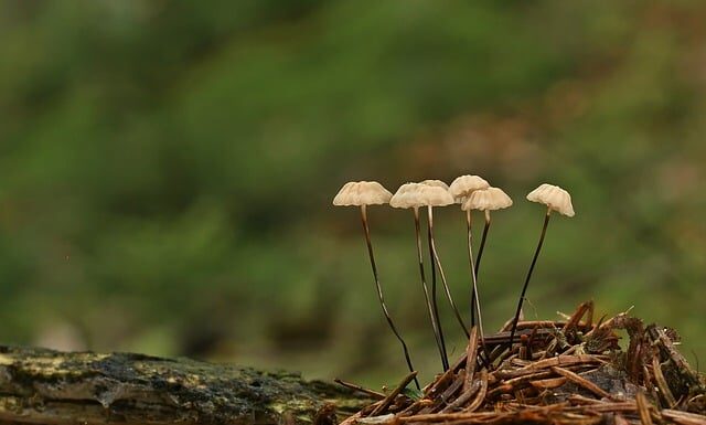 Jak oszuści okradają konta bankowe? Jak oszuści okradają konta bankowe?