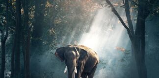 Czym jest środowisko społeczne? Czym jest środowisko społeczne?