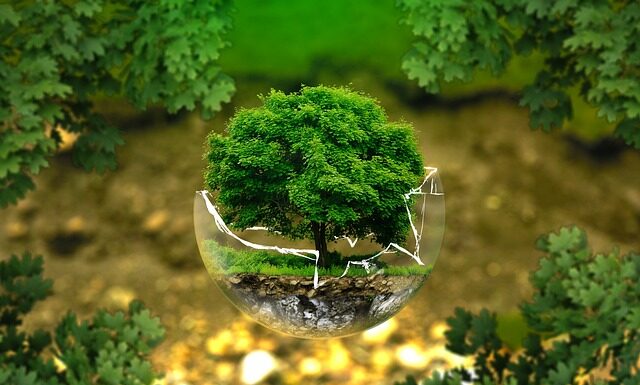 Jakie cechy powinien mieć dobry przełożony? Jakie cechy powinien mieć dobry przełożony?