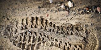 Kiedy dyrektor dokonuje oceny pracy nauczyciela? Kiedy dyrektor dokonuje oceny pracy nauczyciela?