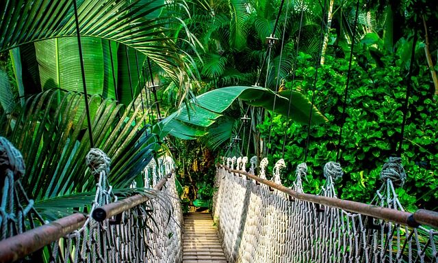 Czy warto robić kurs IT?