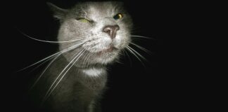 Jak przekazać kandydatowi informację o odrzuceniu z procesu rekrutacji? Jak przekazać kandydatowi informację o odrzuceniu z procesu rekrutacji?