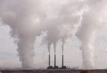 Jak unikać zanieczyszczeń środowiska?