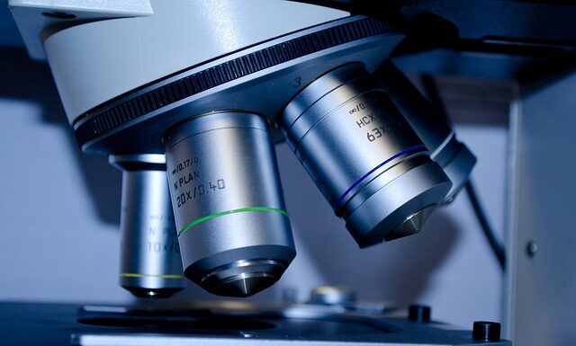 Jakie studia po profilu społecznym?