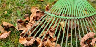 Czy biuro nieruchomości może brać prowizję od obu stron? Czy biuro nieruchomości może brać prowizję od obu stron?