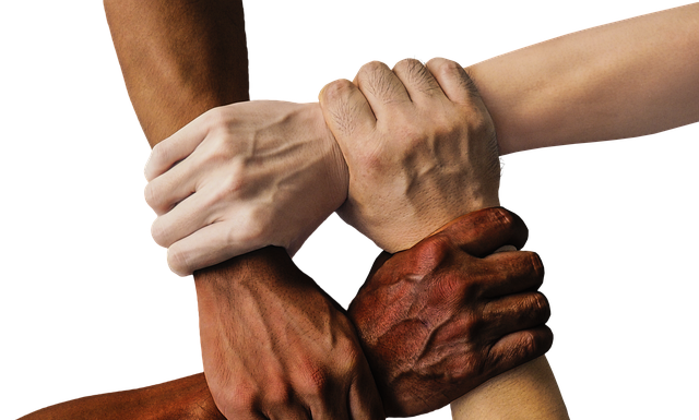 Jak zwiększyć ilość połączeń nerwowych w mózgu? Jak zwiększyć ilość połączeń nerwowych w mózgu?