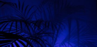 Co jeśli ktoś nie ma pasji? Co jeśli ktoś nie ma pasji?