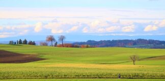 Ile to jest 4700 brutto? Ile to jest 4700 brutto?