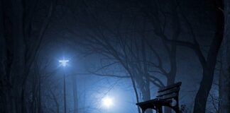 Kiedy Polska dołączyła do WHO? Kiedy Polska dołączyła do WHO?