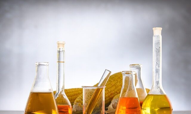 Gdzie może pracować ekolog?