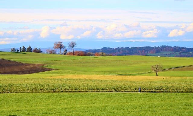 Ile to jest 4600 brutto na netto? Ile to jest 4600 brutto na netto?