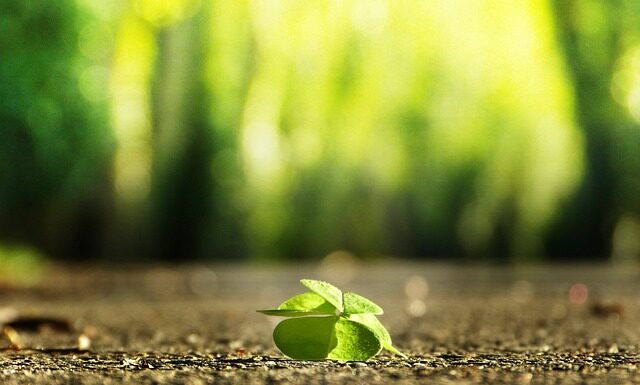 Jak znaleźć swoje miejsce w życiu?