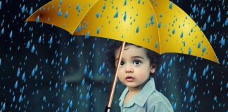 Jakie instytucje chronią konsumenta? Jakie instytucje chronią konsumenta?